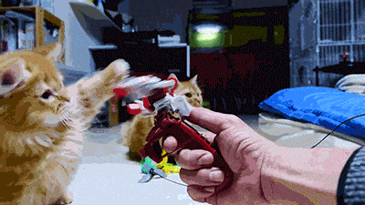 Name:  tumblr_n66izmo33o1tyncywo1_400.gif
Views: 417
Size:  536.3 KB