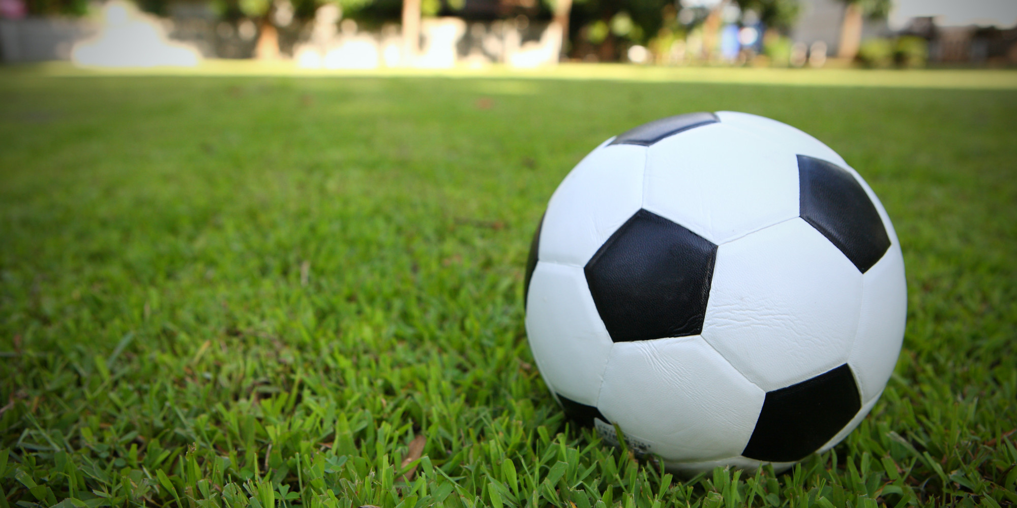 Name:  soccer.jpg
Views: 323
Size:  394.3 KB