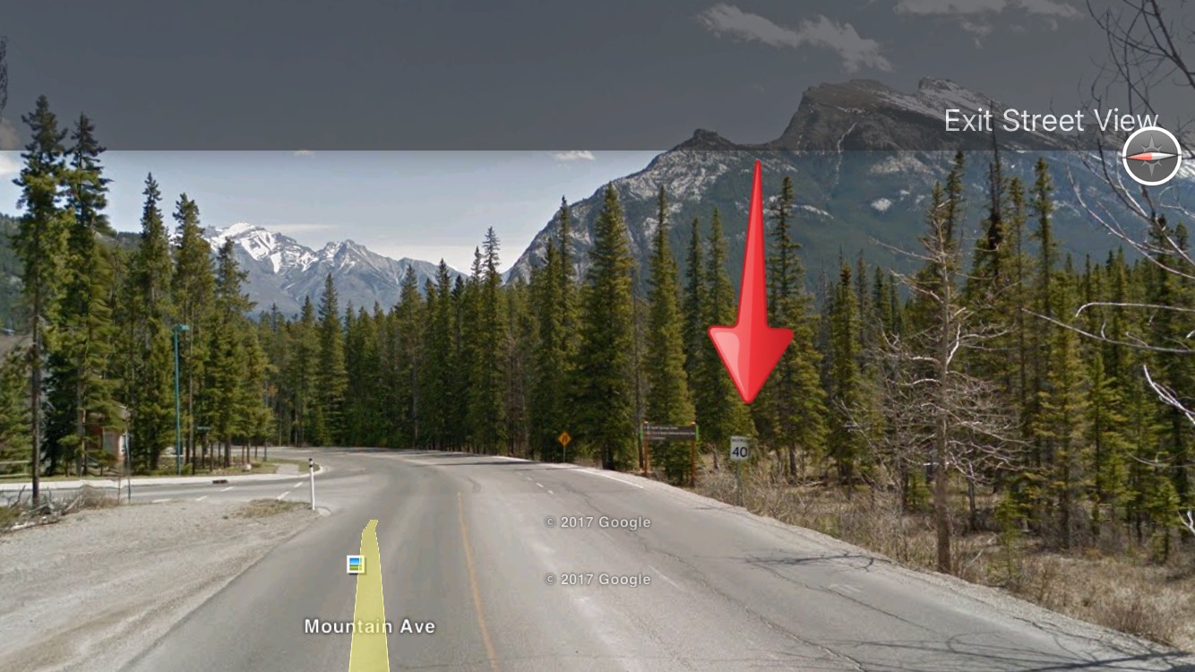 Traffic ticket in Alberta what is the consequence for not paying