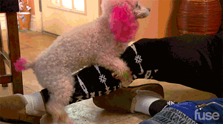 Name:  undefined.gif
Views: 365
Size:  1.44 MB