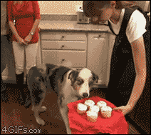 Name:  anigif_enhanced-buzz-15518-1355769150-1.gif
Views: 577
Size:  1,023.5 KB