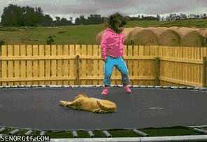 Name:  cV4So0a.gif
Views: 338
Size:  1.89 MB