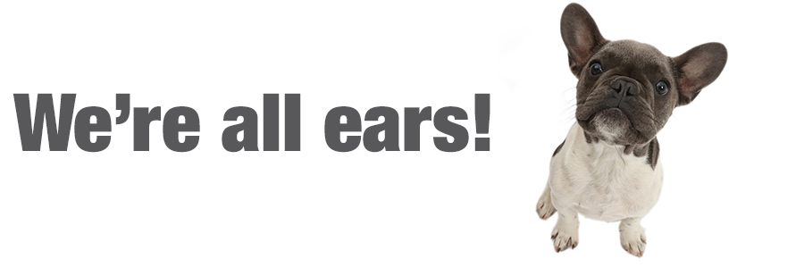 Name:  allears.jpg
Views: 424
Size:  77.2 KB