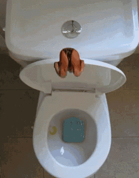 Name:  DAE7CFE8-94C2-4A0B-AF90-3A81336262C4.gif
Views: 595
Size:  711.9 KB