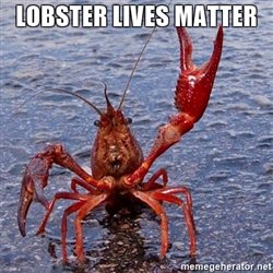 Name:  lobster-lives-matter.jpg
Views: 431
Size:  23.5 KB