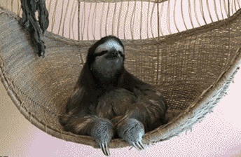 Name:  8EB7E08D-0C5A-4209-A2AC-F06B7F8D2A1B.gif
Views: 1208
Size:  1.74 MB