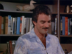 Name:  selleck.gif
Views: 750
Size:  997.0 KB