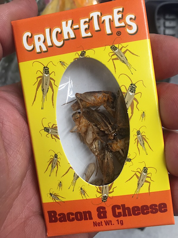 Name:  IMG_9250.jpg
Views: 272
Size:  145.2 KB