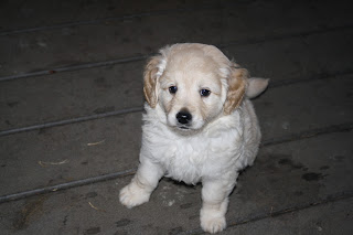 Name:  doodles 047.JPG
Views: 453
Size:  13.4 KB