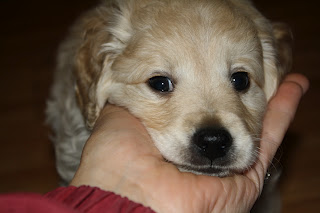 Name:  doodles 023.JPG
Views: 449
Size:  16.6 KB