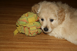 Name:  doodles 029.JPG
Views: 427
Size:  22.2 KB