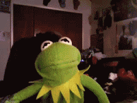 Name:  bXDG1.gif
Views: 603
Size:  1.62 MB
