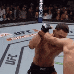 Name:  Edgar KO2.gif
Views: 243
Size:  765.2 KB