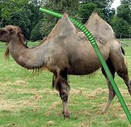 Name:  straw.png
Views: 488
Size:  77.7 KB