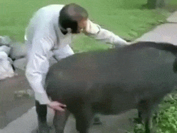 Name:  986FFEA7-0D4C-4301-B60C-49142D35C0B1.gif
Views: 901
Size:  4.99 MB