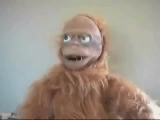 Name:  giphy.gif
Views: 841
Size:  3.83 MB