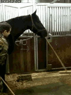 Name:  giphy.gif
Views: 249
Size:  1.81 MB