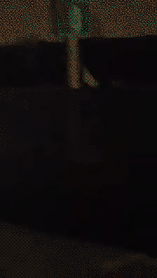 Name:  2825ADC8-DAD3-4B4B-B32D-A503A09E912A.gif
Views: 331
Size:  1.82 MB