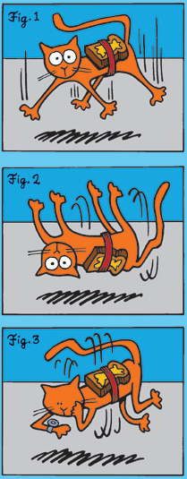 Name:  Buttered_cat.png
Views: 716
Size:  144.4 KB