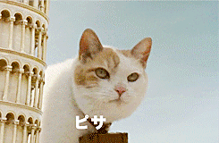 Name:  vat.gif
Views: 349
Size:  712.1 KB