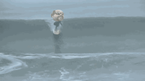 Name:  Sandysurfer2.gif
Views: 822
Size:  939.7 KB