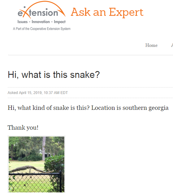 Name:  answer1.png
Views: 264
Size:  120.3 KB