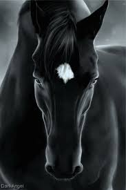 Name:  images-1.jpeg
Views: 340
Size:  5.0 KB