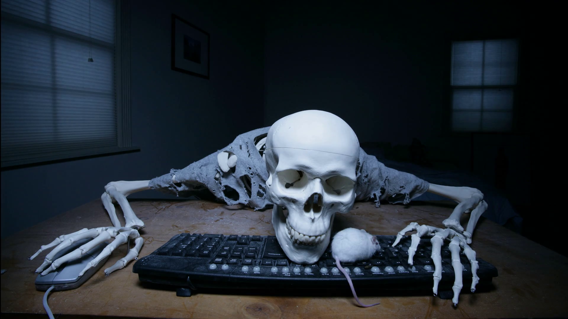 Name:  a-skeleton-at-a-keyboard-with-a-real-mouse_sobdoyhdp_thumbnail-full01.png
Views: 281
Size:  1.70 MB