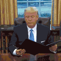 Name:  trumprules.gif
Views: 664
Size:  1.63 MB