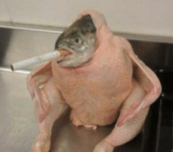 Name:  fish-in-a-raw-chicken-aww-69311510.jpg
Views: 614
Size:  44.0 KB