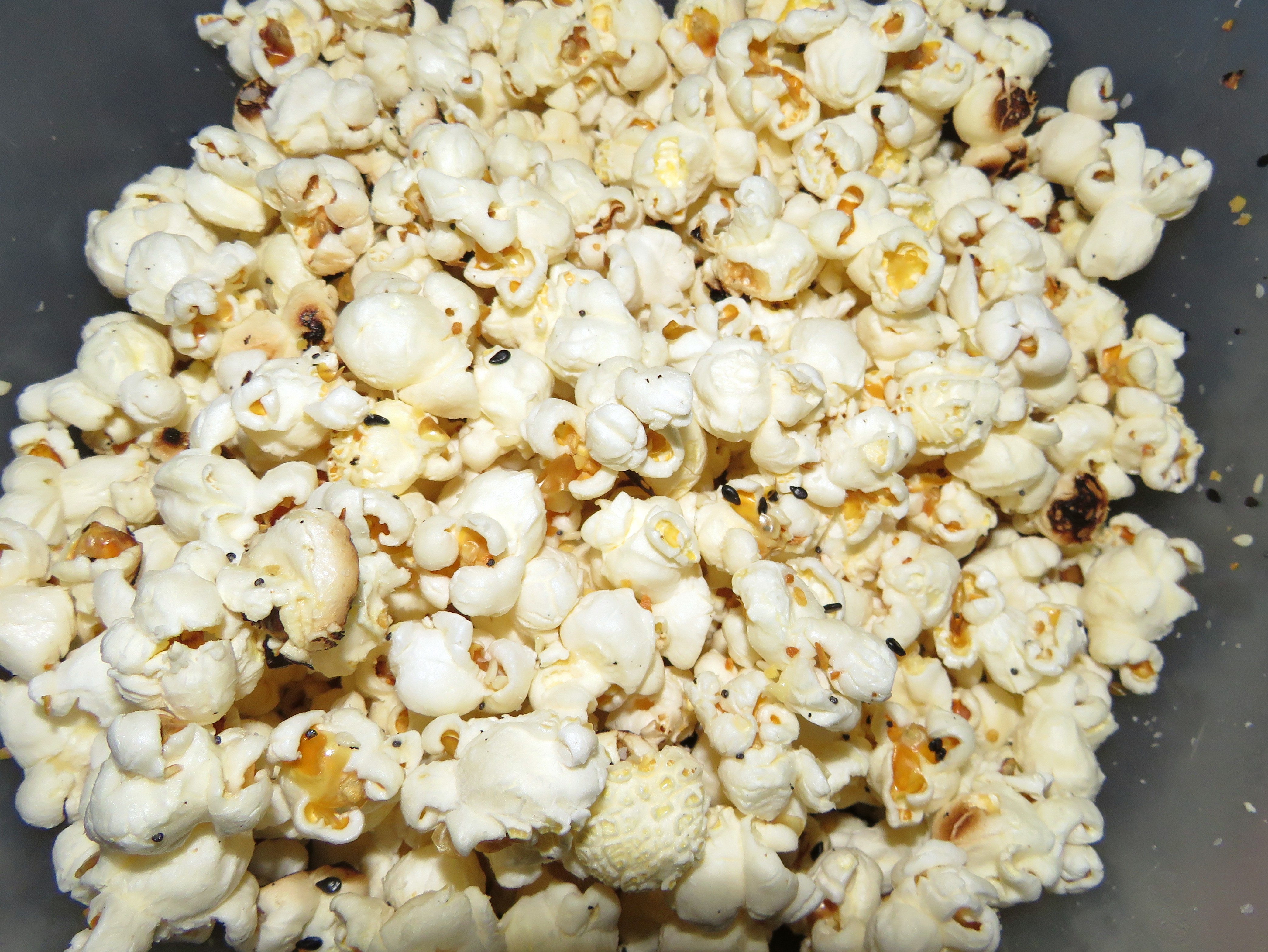 Name:  garlcorn.JPG
Views: 596
Size:  2.24 MB