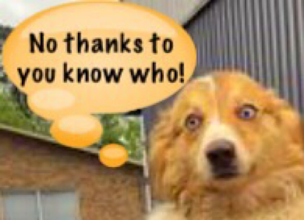 Name:  28F23CDB-8DCD-4BA4-8407-B6C493478C6F.jpeg
Views: 465
Size:  55.3 KB