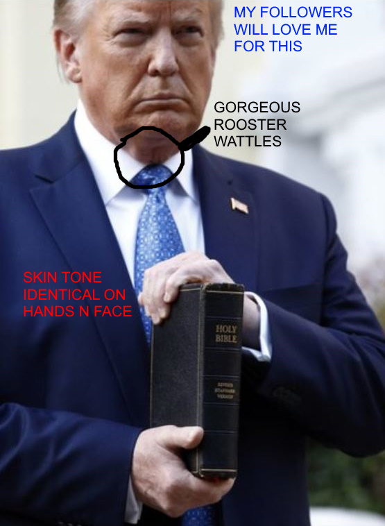 Name:  fake bible 2.jpg
Views: 332
Size:  106.4 KB