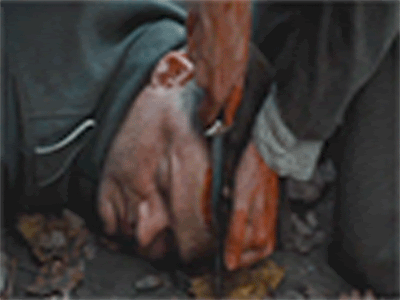 Name:  284251.gif
Views: 860
Size:  793.3 KB