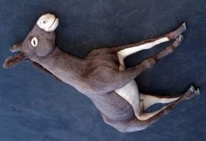 Name:  Donkey down.jpg
Views: 973
Size:  15.7 KB