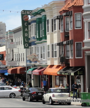 Name:  SF1 north beach ginos.PNG
Views: 373
Size:  317.6 KB