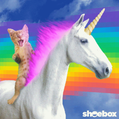 Name:  353DF68A-1568-4A1C-9FE1-21F5413C4ED5.gif
Views: 695
Size:  3.17 MB
