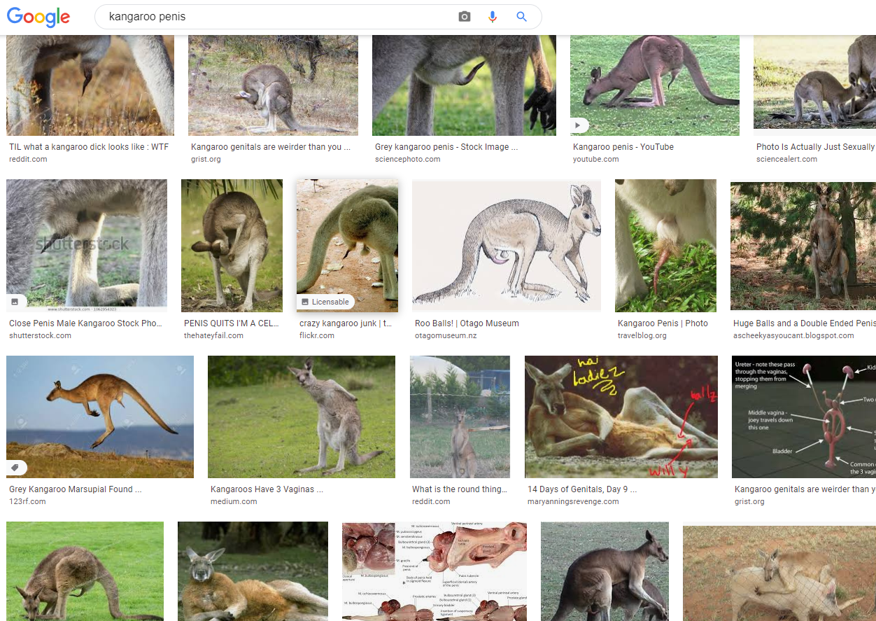 Name:  d.png
Views: 366
Size:  1.79 MB
