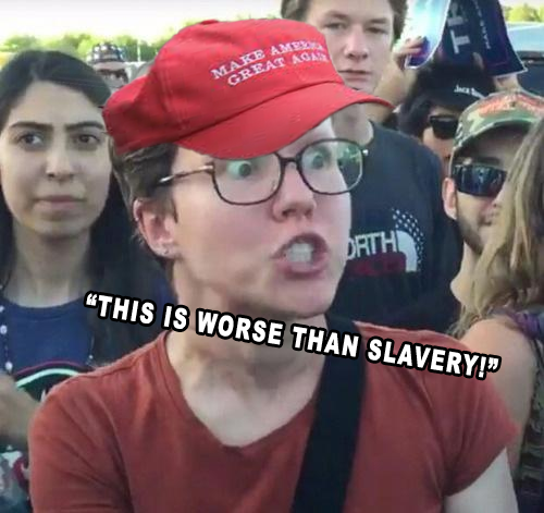 Name:  maga trigger.png
Views: 1004
Size:  318.7 KB