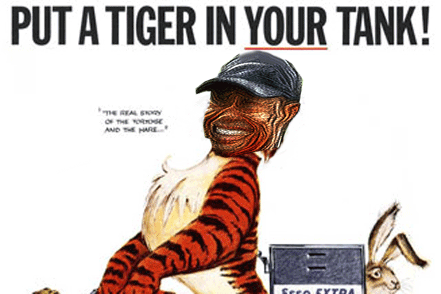 Name:  Put-a-tige.gif
Views: 469
Size:  75.8 KB