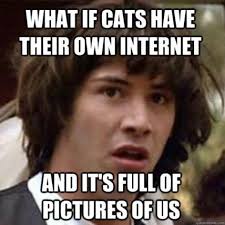 Name:  what if cats ....jpg
Views: 370
Size:  10.4 KB