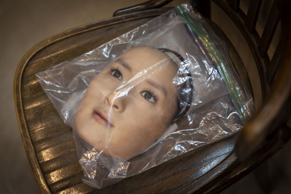 Name:  face in bag.jpg
Views: 1472
Size:  93.3 KB