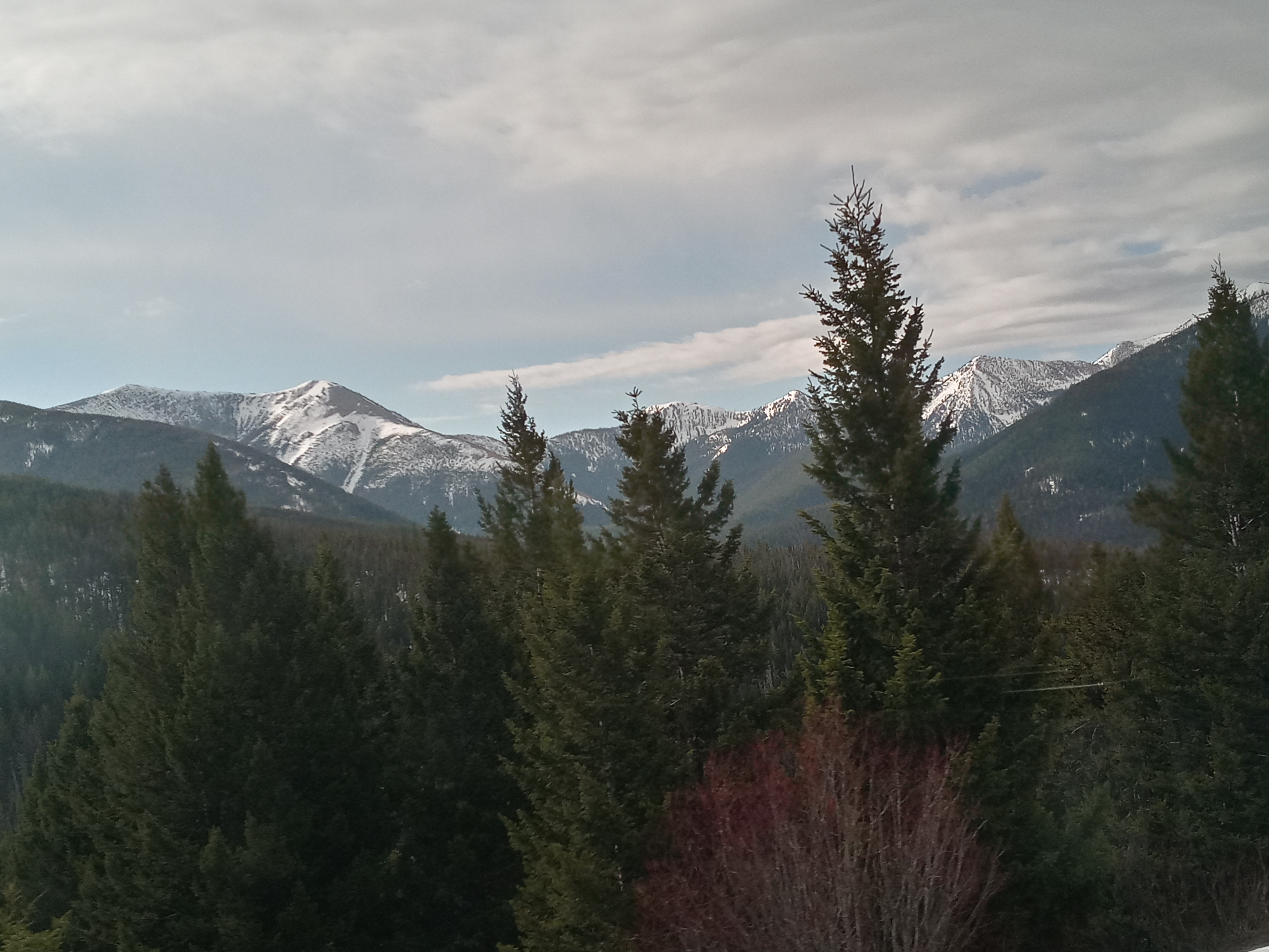 Name:  20210404_094119_HDR.jpg
Views: 302
Size:  3.30 MB