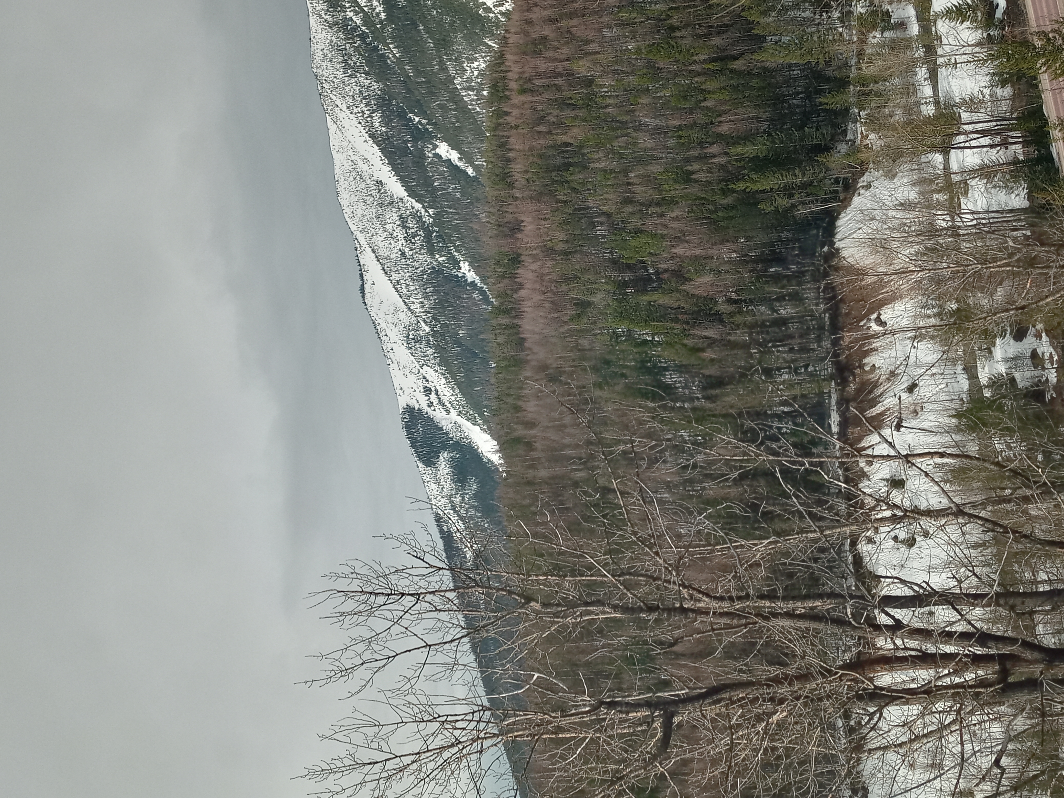 Name:  20210404_092450_HDR.jpg
Views: 293
Size:  4.75 MB