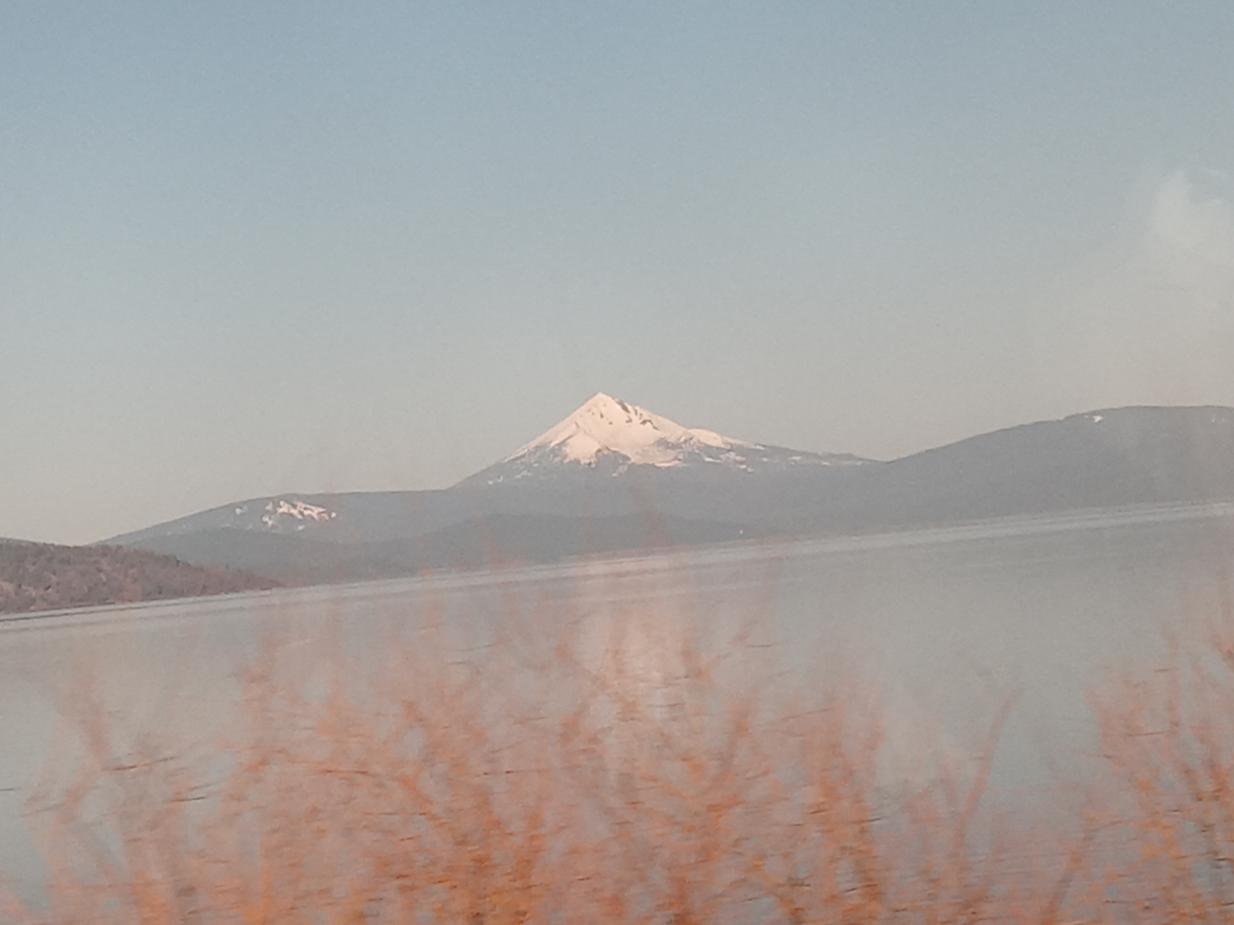 Name:  20210401_084436.jpg
Views: 166
Size:  2.25 MB