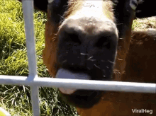 Name:  058930F6-6E31-49B3-B5FF-A85EAA903923.gif
Views: 300
Size:  540.8 KB