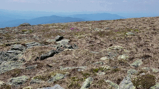 Name:  ezgif-1-5a9d378bba9c.gif
Views: 776
Size:  4.39 MB