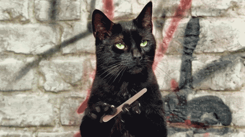 Name:  gfrdh.gif
Views: 826
Size:  464.7 KB