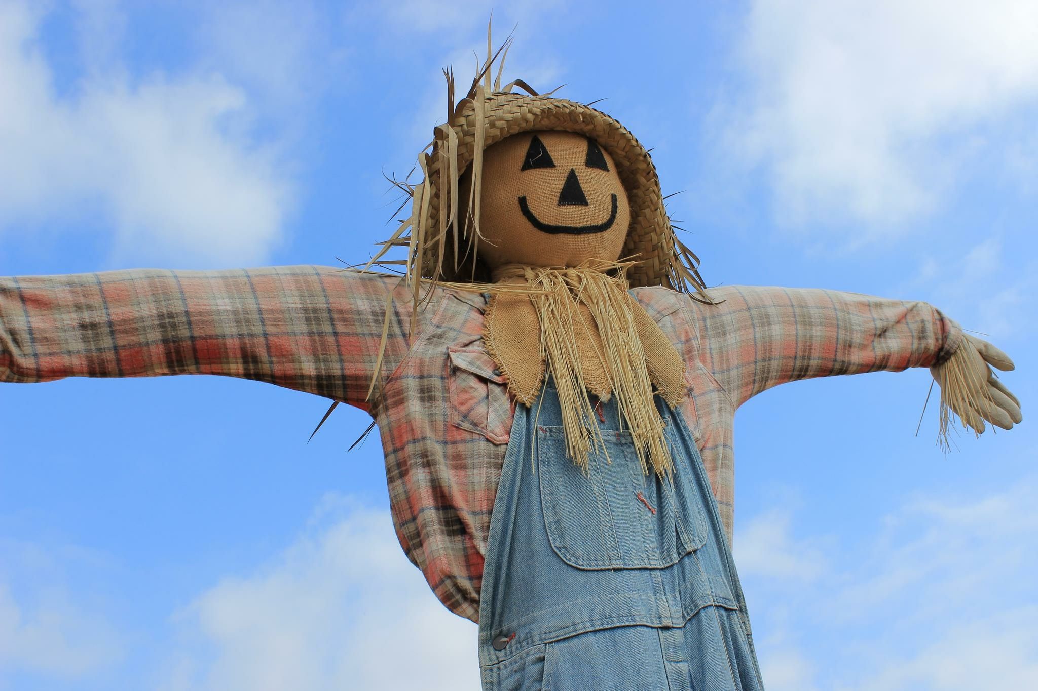 Name:  low-angle-view-scarecrow-against-cloudy-sky-562838541-5aaf18adfa6bcc00360a609c.jpg
Views: 7863
Size:  288.4 KB