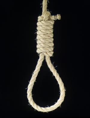 Name:  759933-noose_lg_716525_large.jpg
Views: 754
Size:  10.0 KB